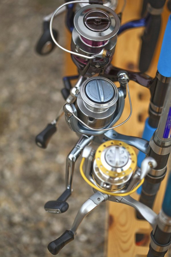 Canne pour bar : quel équipement utiliser pour pêcher efficacement ce type de poisson ?