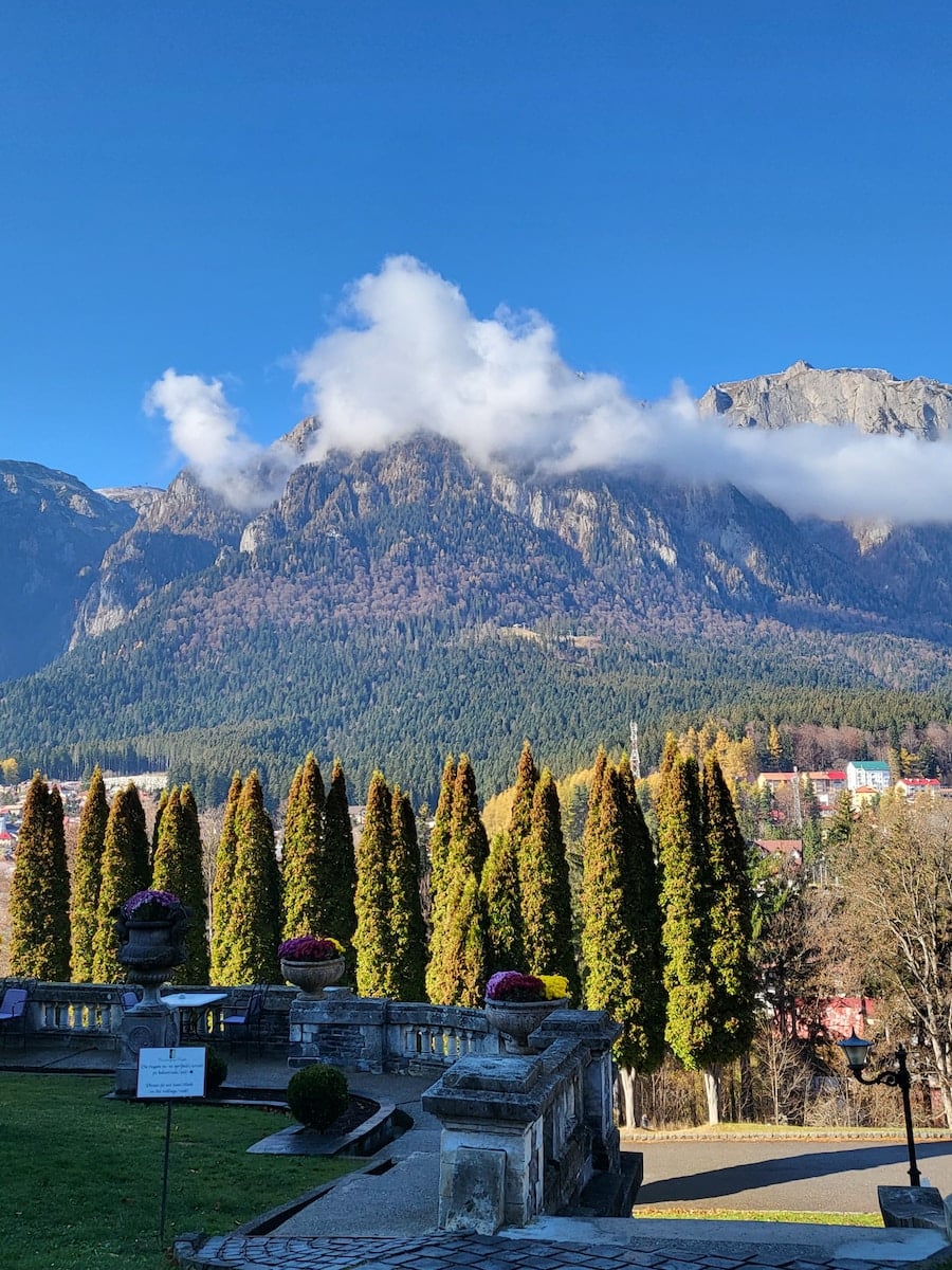 a scenic view of a mountain range with trees in the foreground